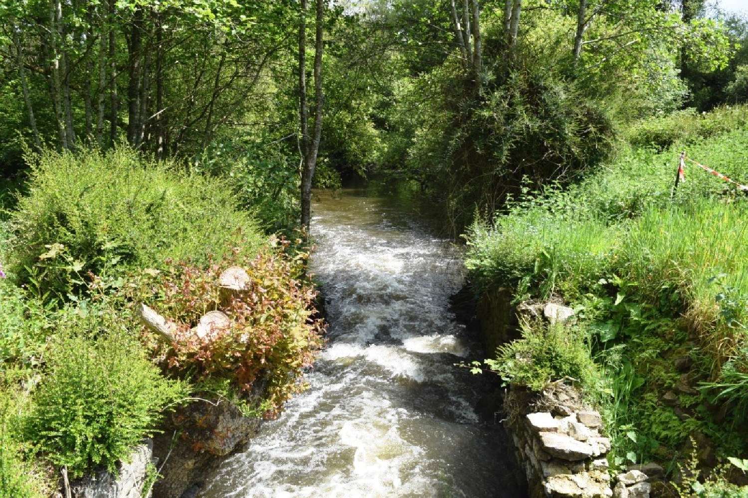  kaufen Haus Plounévézel Finistère 6