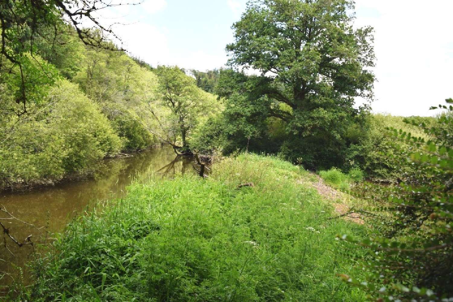  kaufen Haus Plounévézel Finistère 8