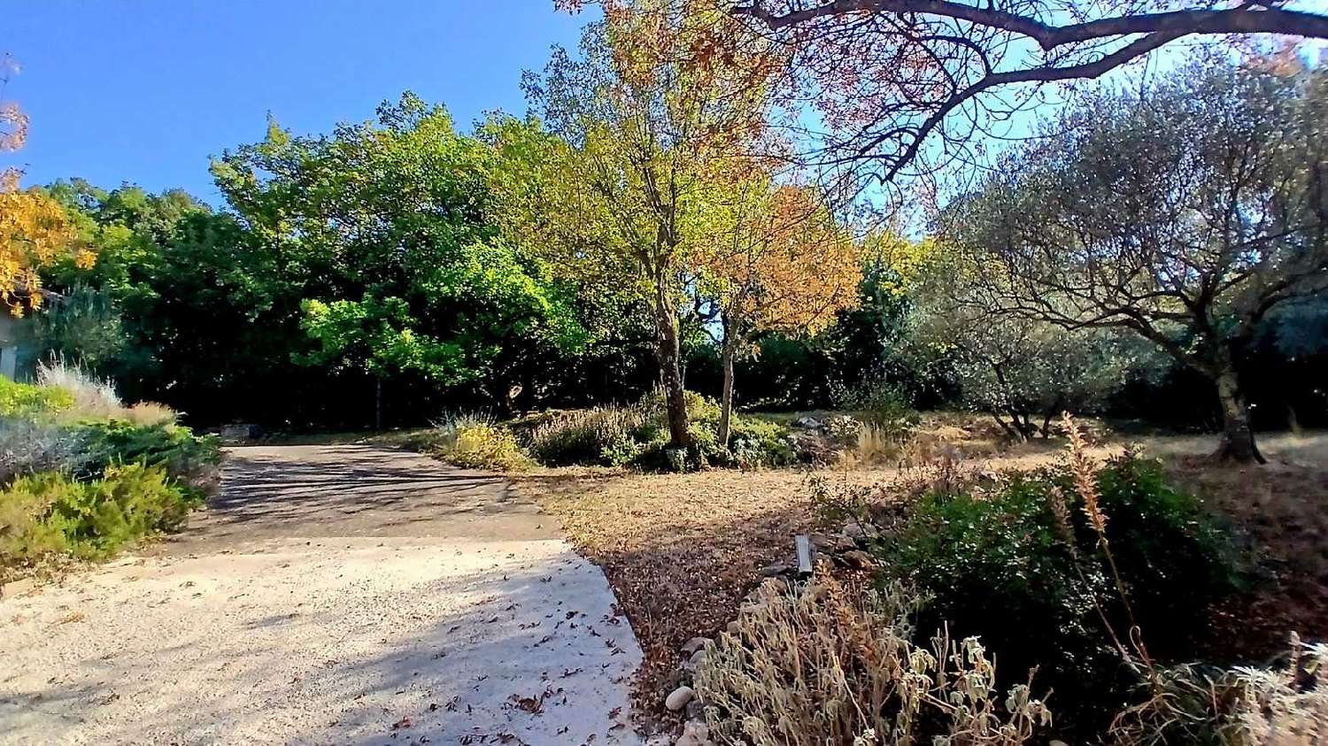  te koop huis Poujols Hérault 3