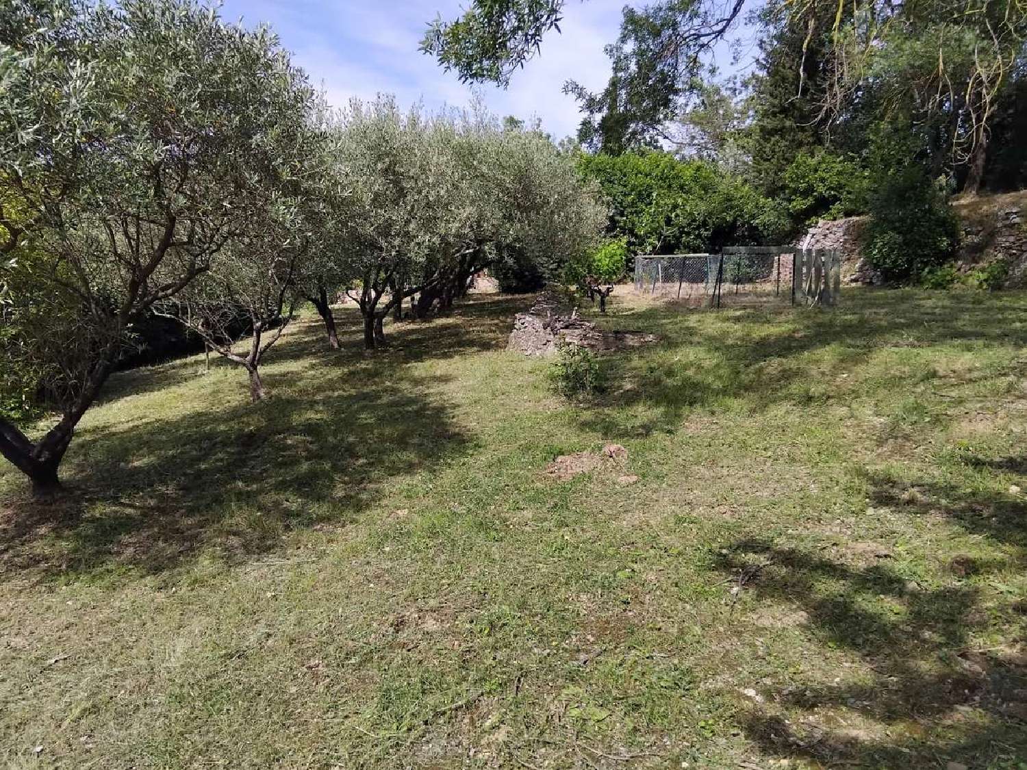  te koop huis Poujols Hérault 4