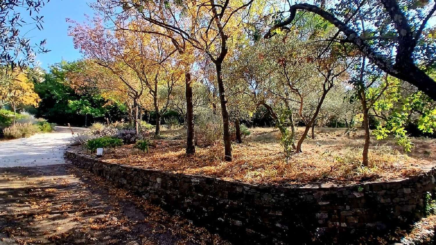  te koop huis Poujols Hérault 5