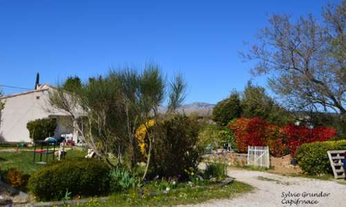 Pourrières Var Haus Bild 7314811