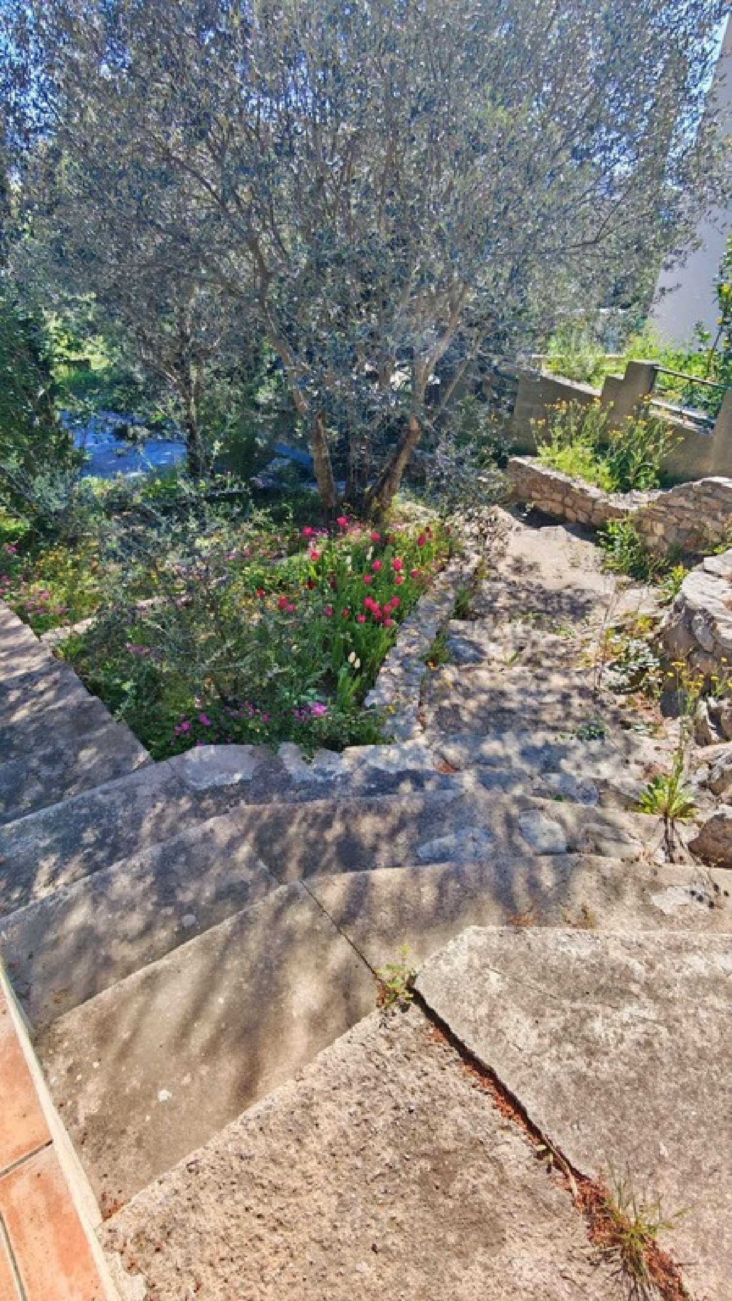  te koop huis Poussan Hérault 4