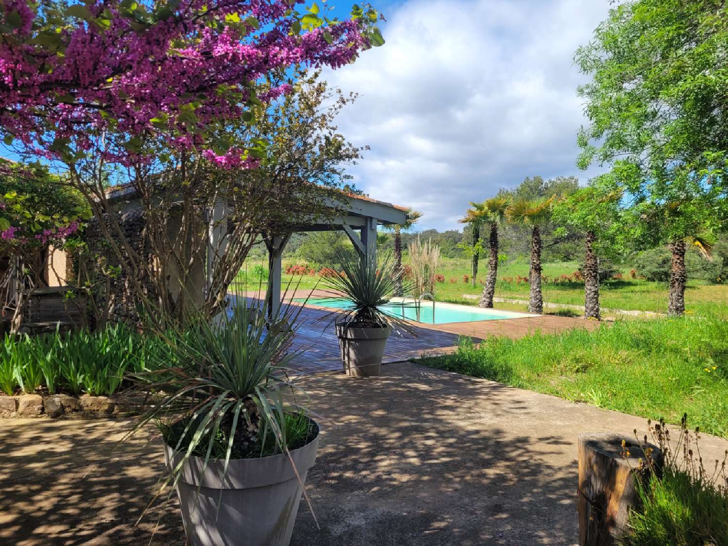  te koop huis Prades-sur-Vernazobre Hérault 4