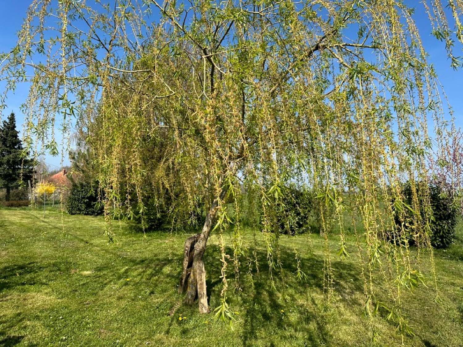  à vendre maison Précy-sous-Thil Côte-d'Or 4