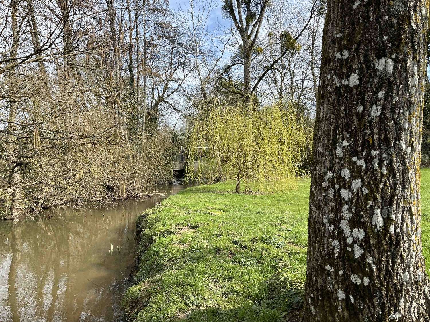  te koop huis Pressac Vienne 3