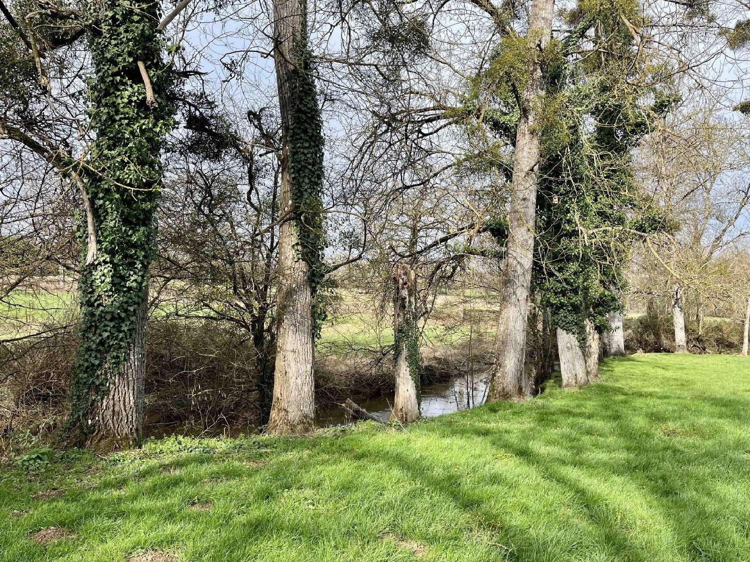  te koop huis Pressac Vienne 4