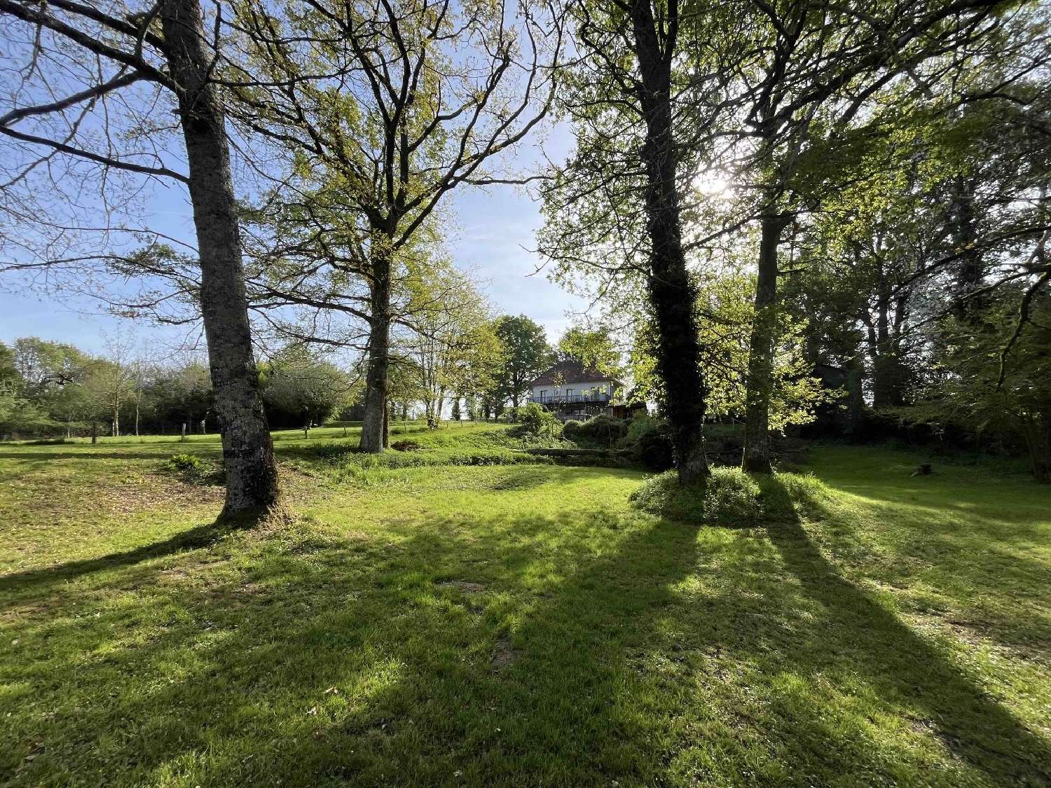  te koop huis Pressac Vienne 7