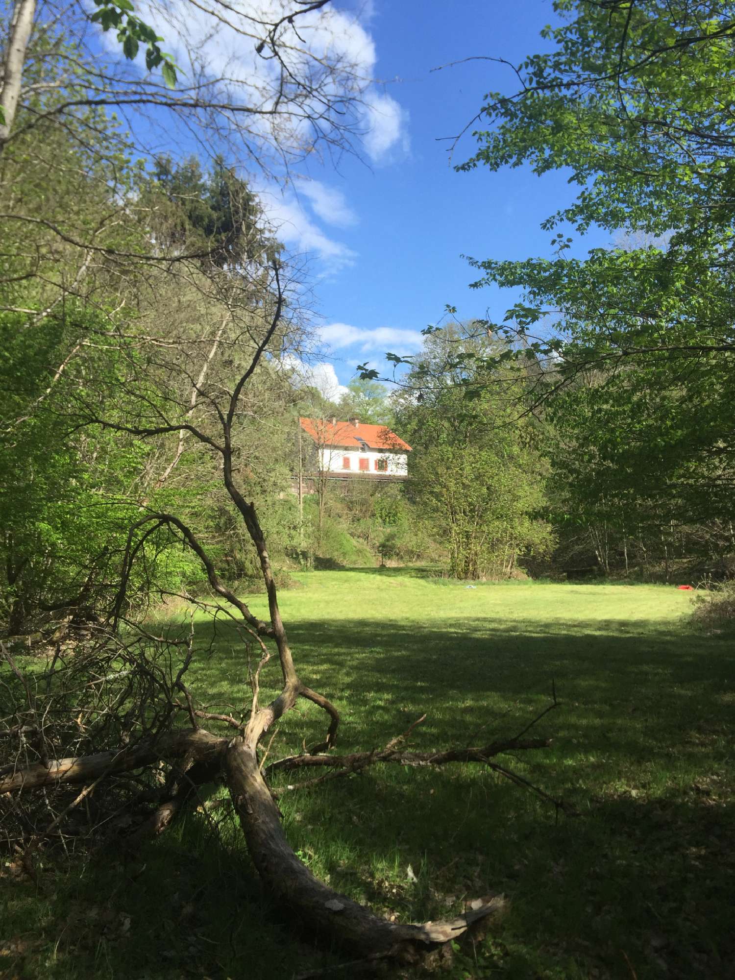  à vendre maison Puberg Bas-Rhin 3