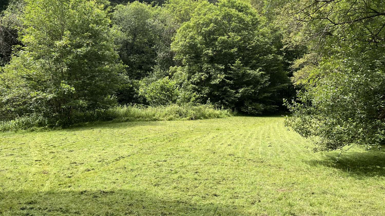  à vendre maison Puberg Bas-Rhin 8