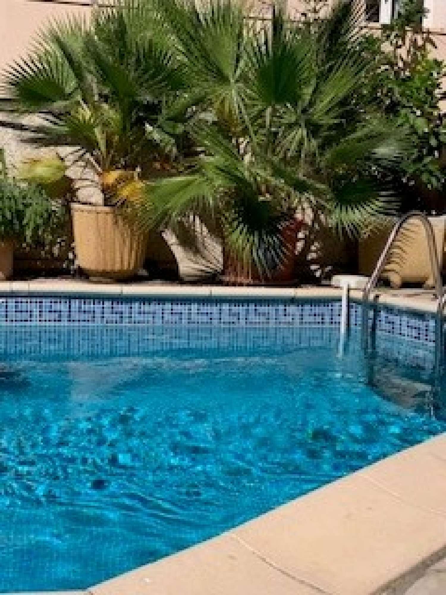  en venta casa Puissalicon Hérault 1