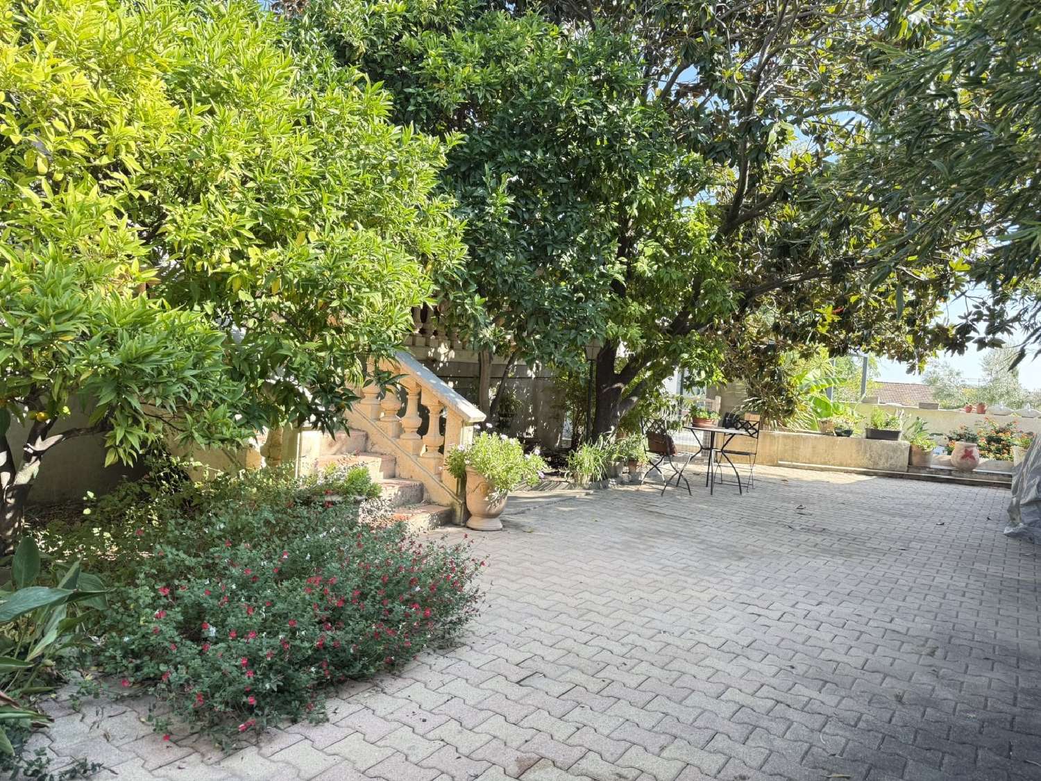  à vendre maison Puissalicon Hérault 2