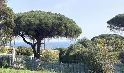 Ramatuelle Var Haus Bild 7302700