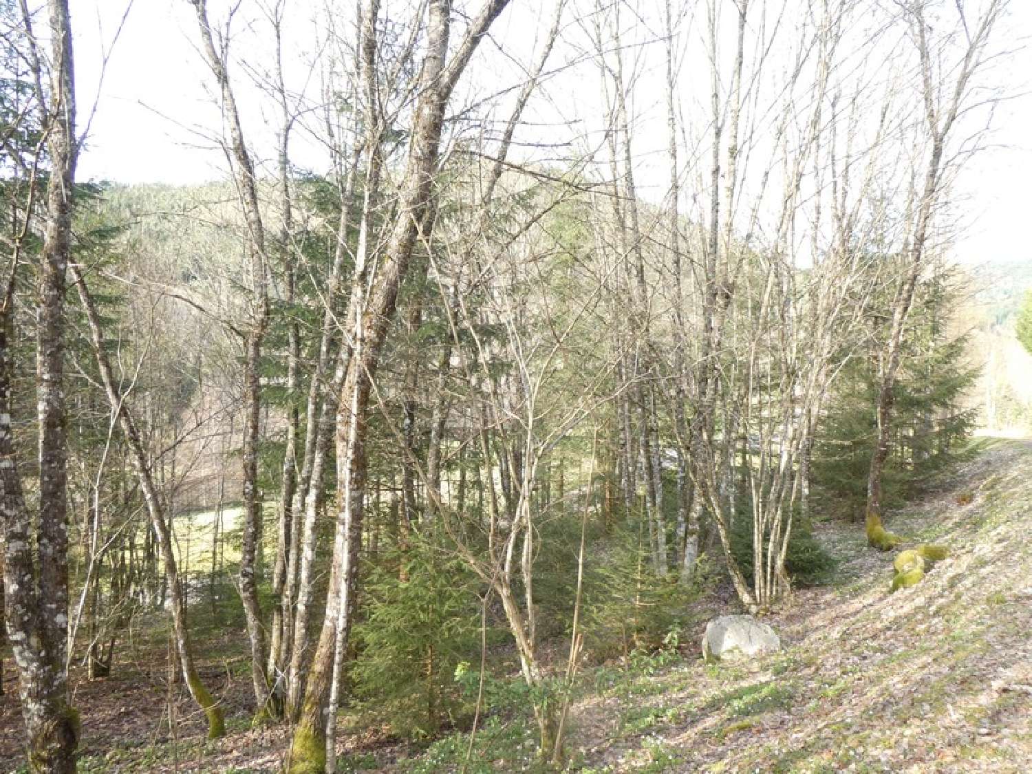  te koop huis Ramonchamp Vogezen 4