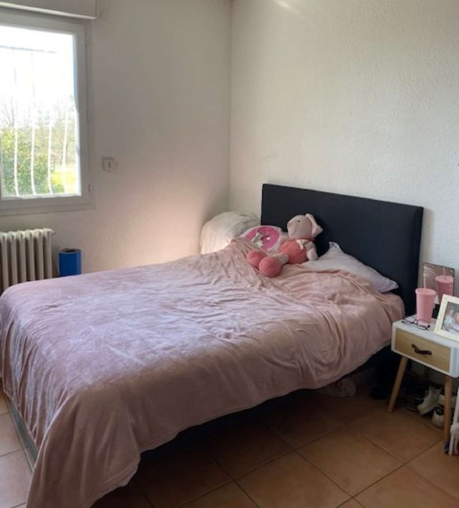  te koop huis Revel Haute-Garonne 8