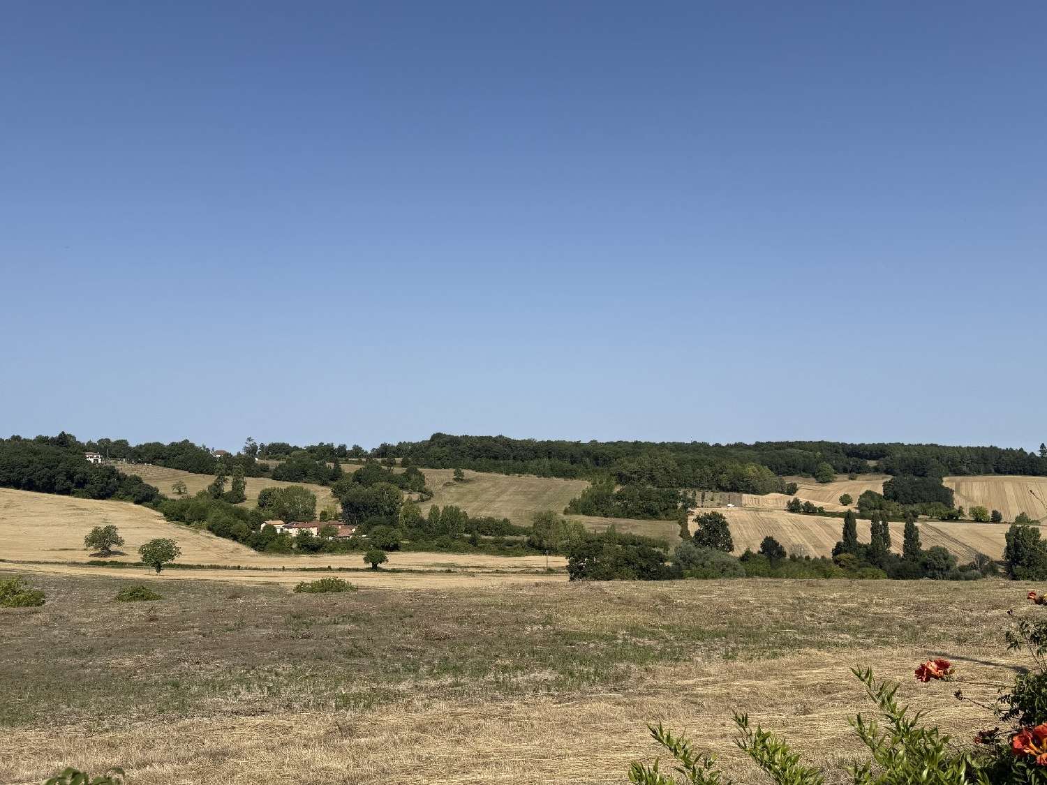 for sale house Ribérac Dordogne 3