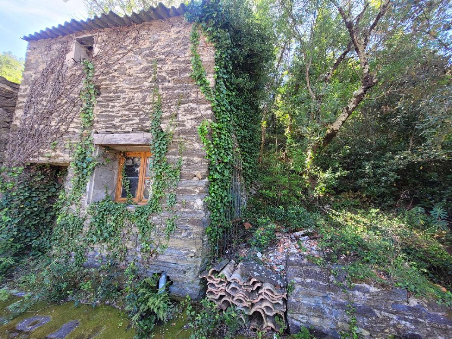  te koop huis Roquebrun Hérault 4