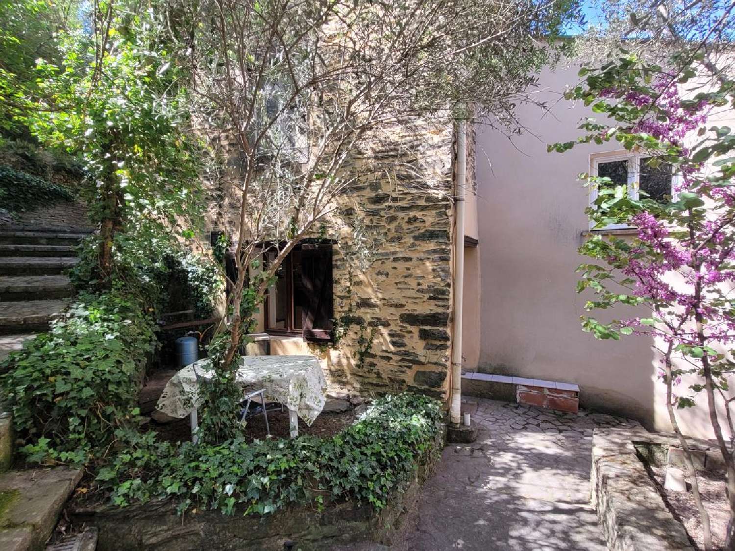  te koop huis Roquebrun Hérault 7