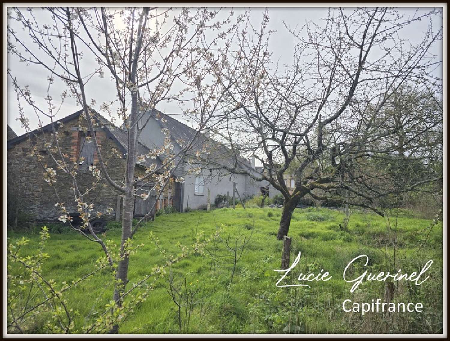 for sale house Rougé Loire-Atlantique 7