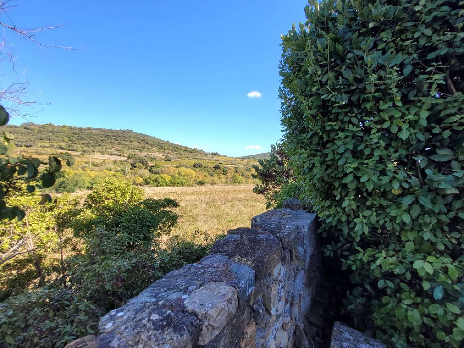  te koop huis Roujan Hérault 7