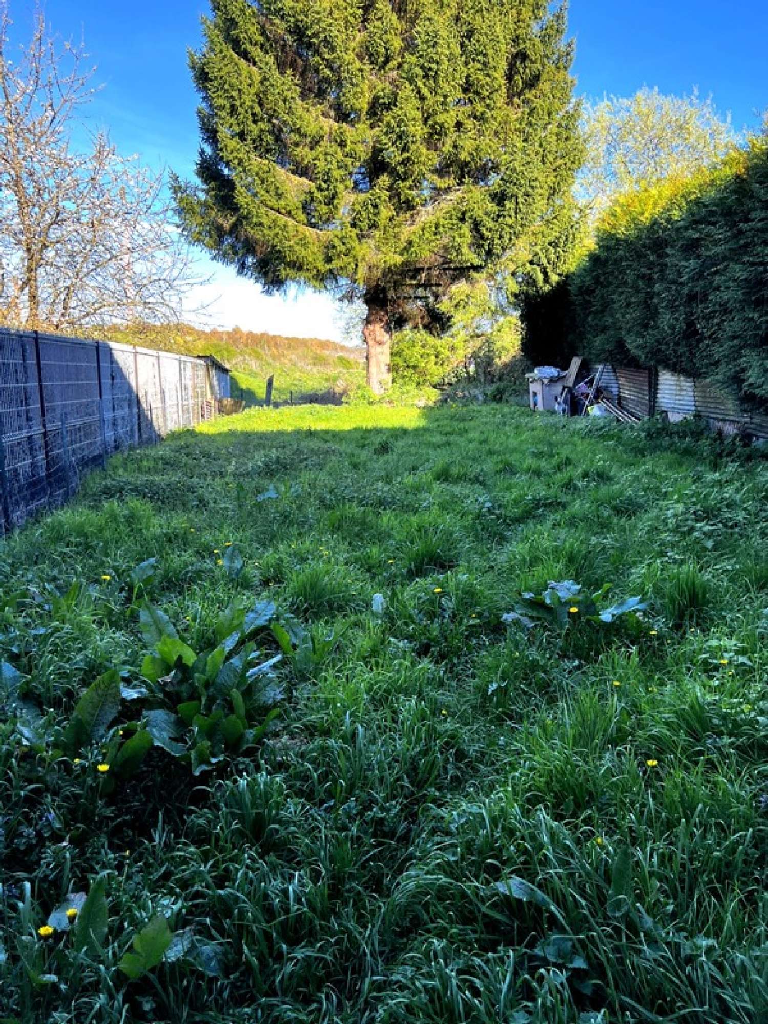  kaufen Haus Rousies Nord 7