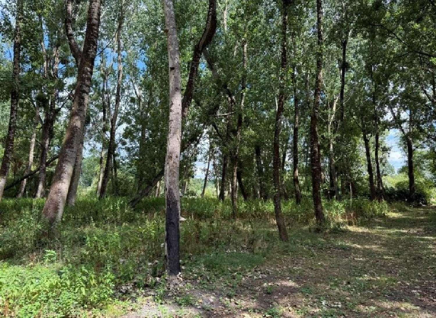  en venta casa Ruffec Charente 4