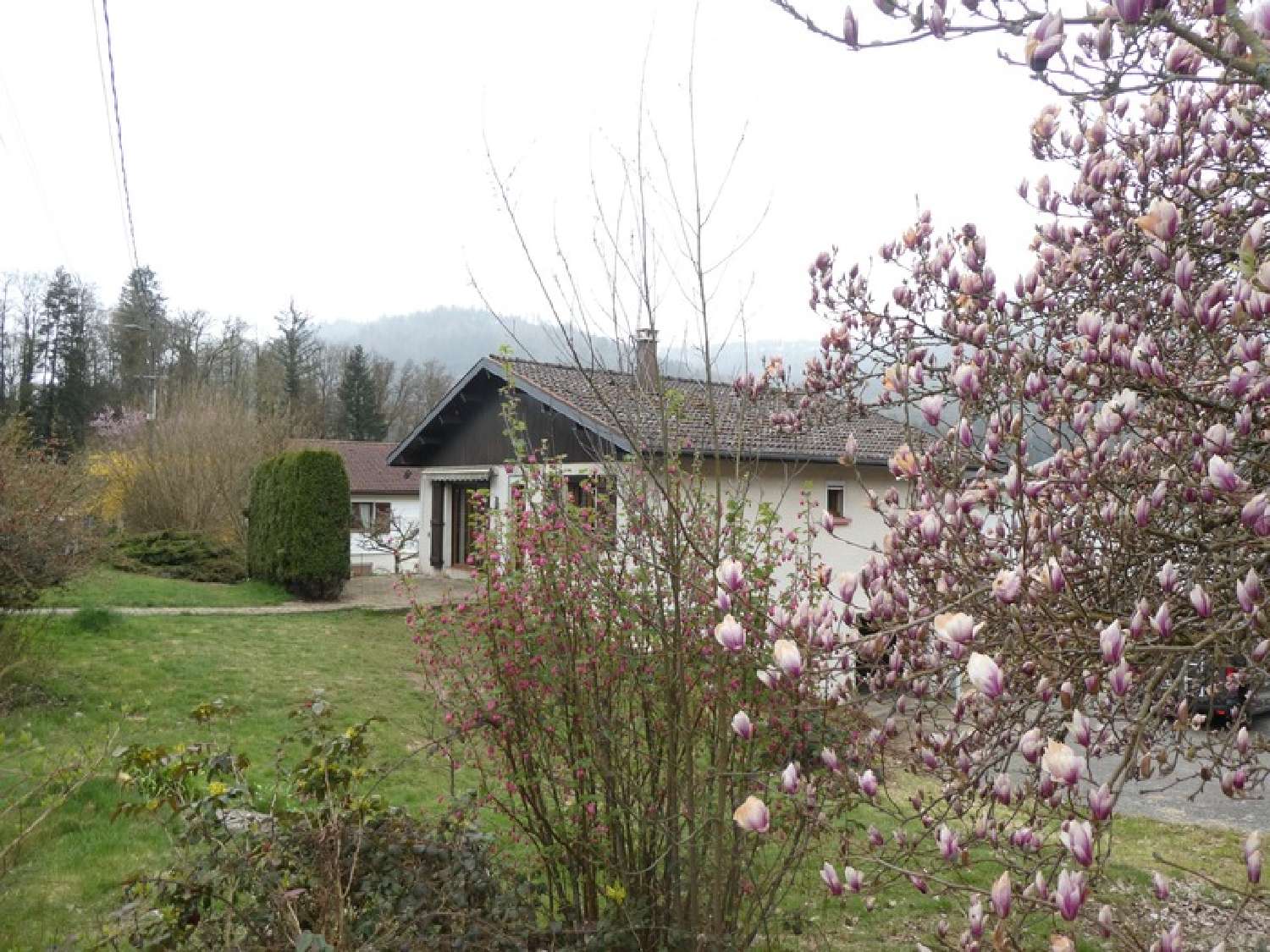  te koop huis Rupt-sur-Moselle Vogezen 1