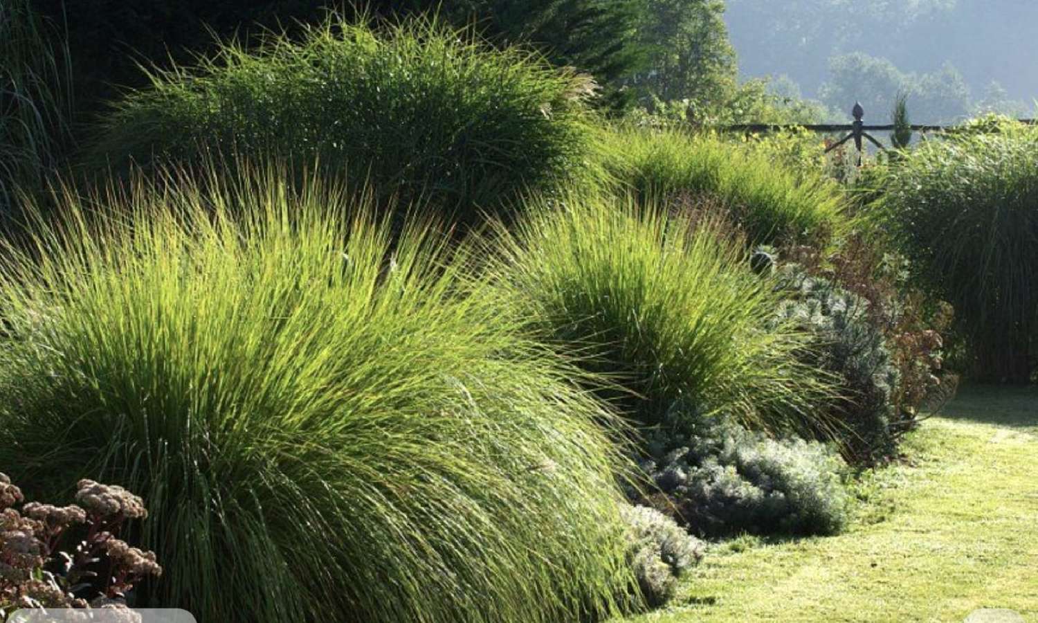  for sale house Sain-Bel Rhône 1