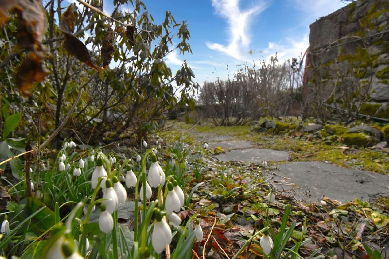 for sale house Saint-Agrève Ardèche 8