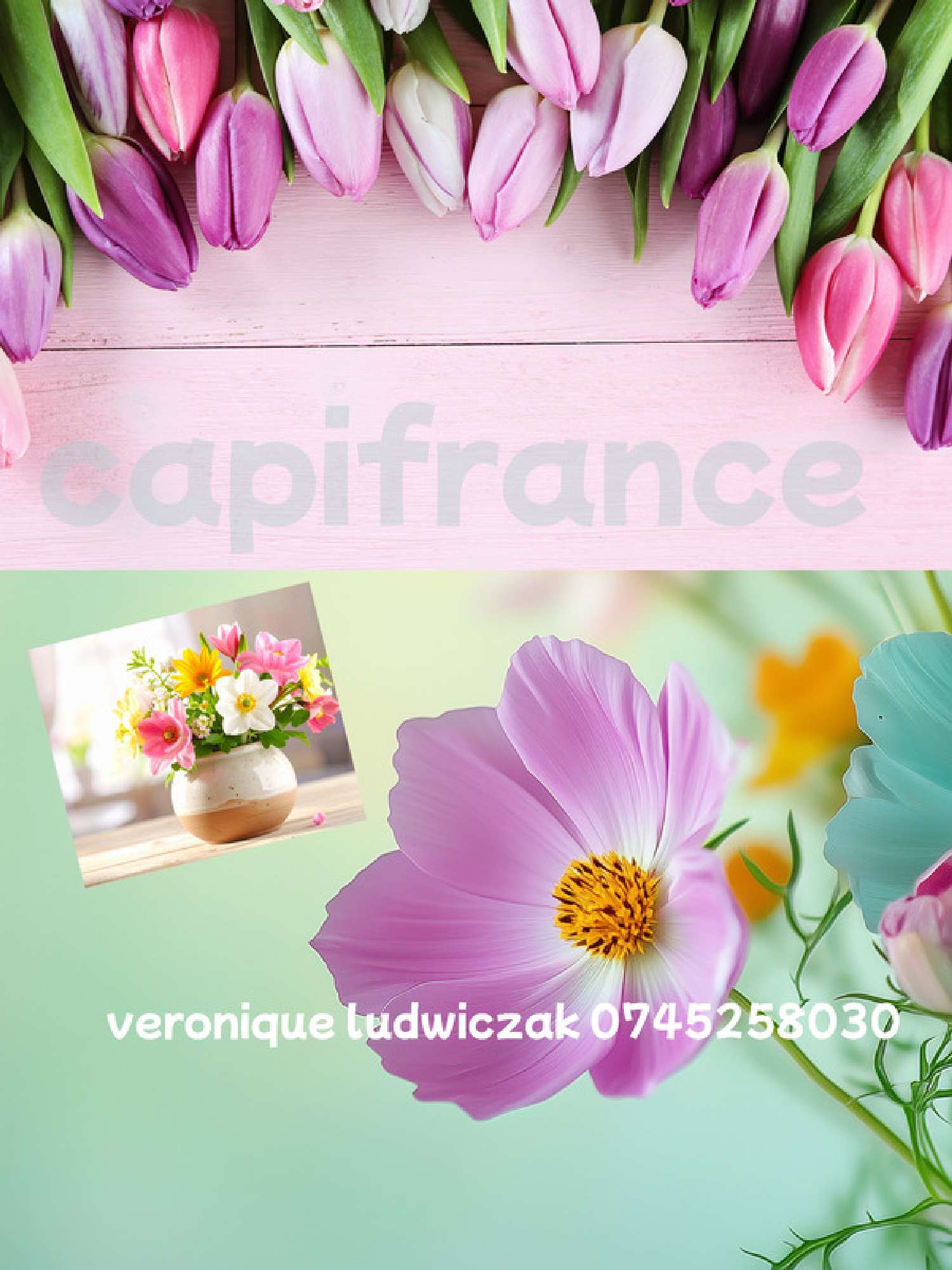  te koop huis Saint-Amand-les-Eaux Nord 1