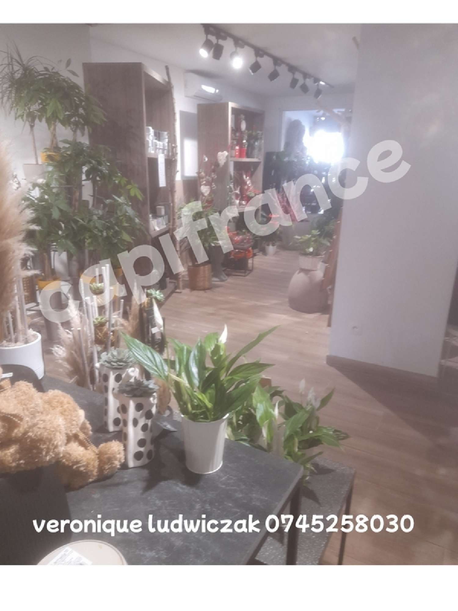  te koop huis Saint-Amand-les-Eaux Nord 2