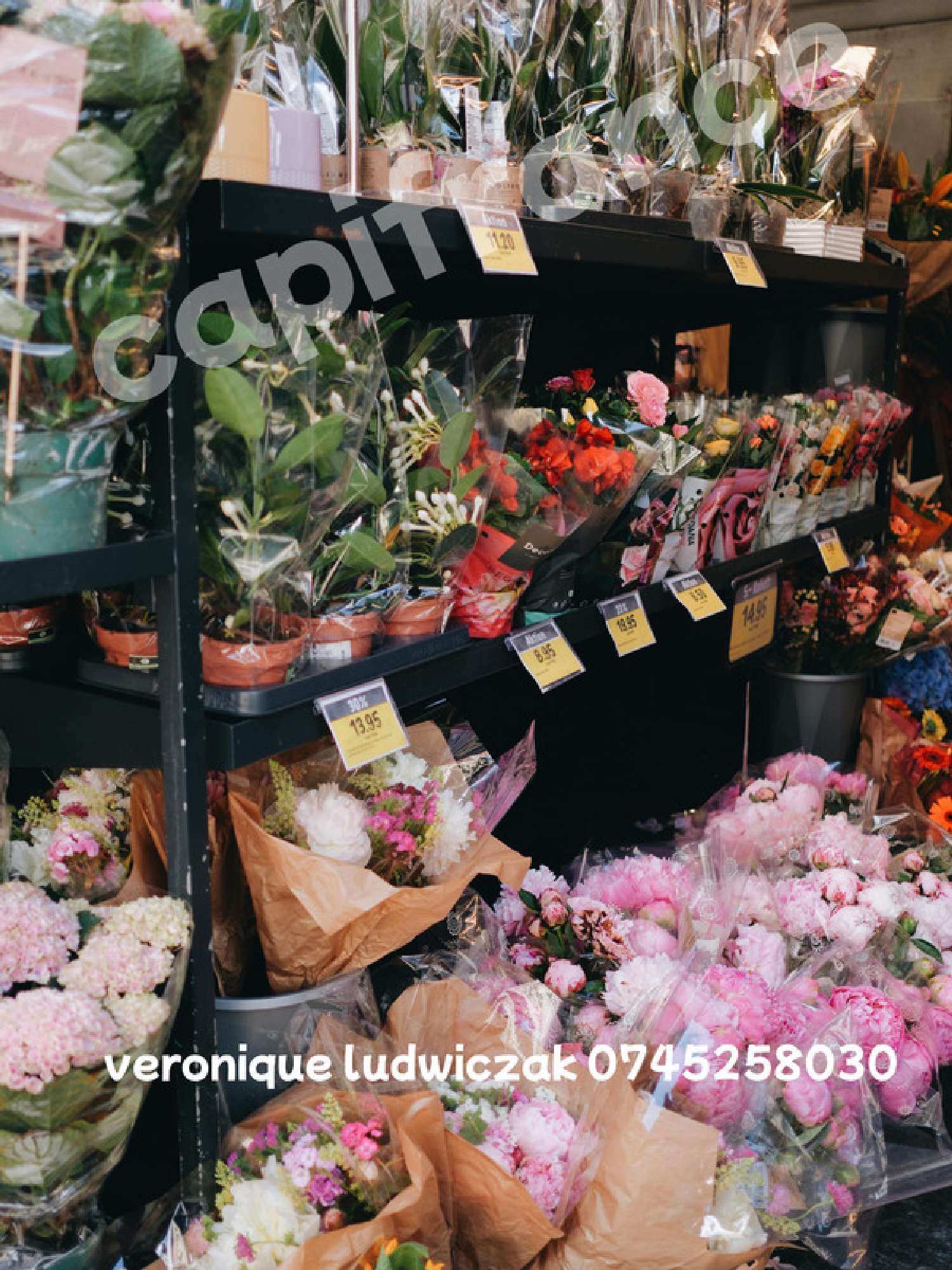  te koop huis Saint-Amand-les-Eaux Nord 3