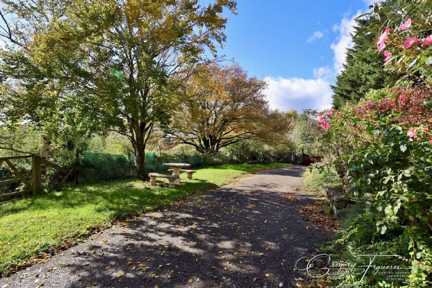 kaufen Haus Saint-André-la-Côte Rhône 2