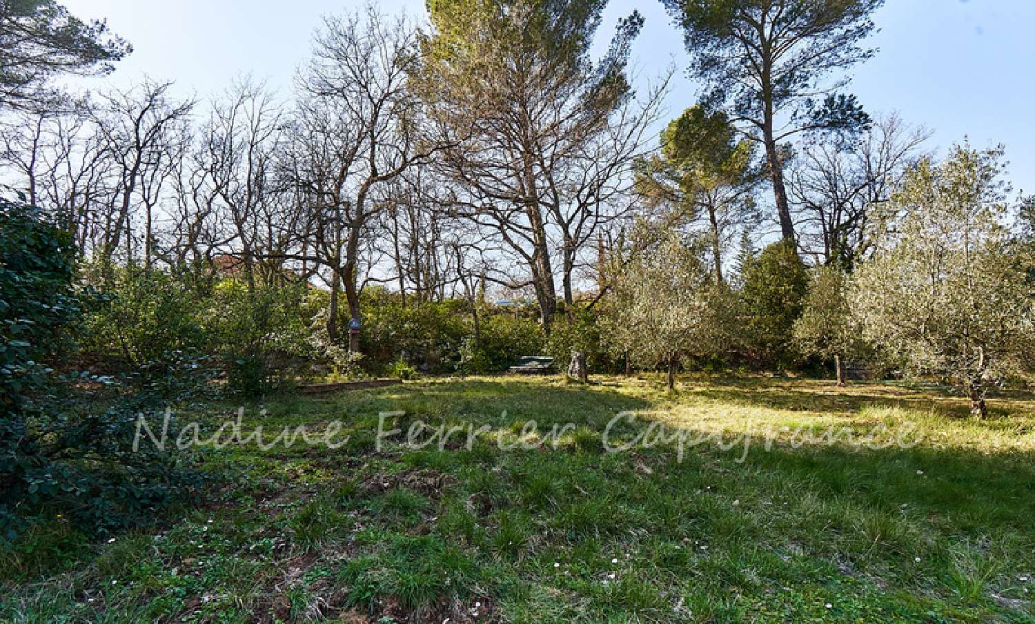 kaufen Haus Saint-Antonin-sur-Bayon Bouches-du-Rhône 8