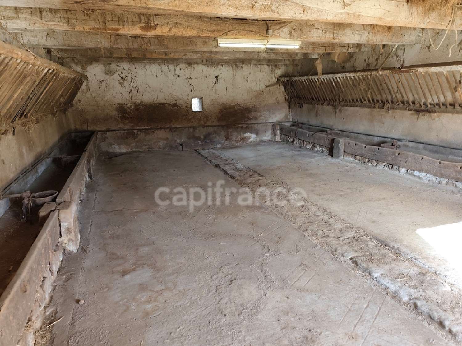 kaufen Haus Saint-Aubin-en-Charollais Saône-et-Loire 4