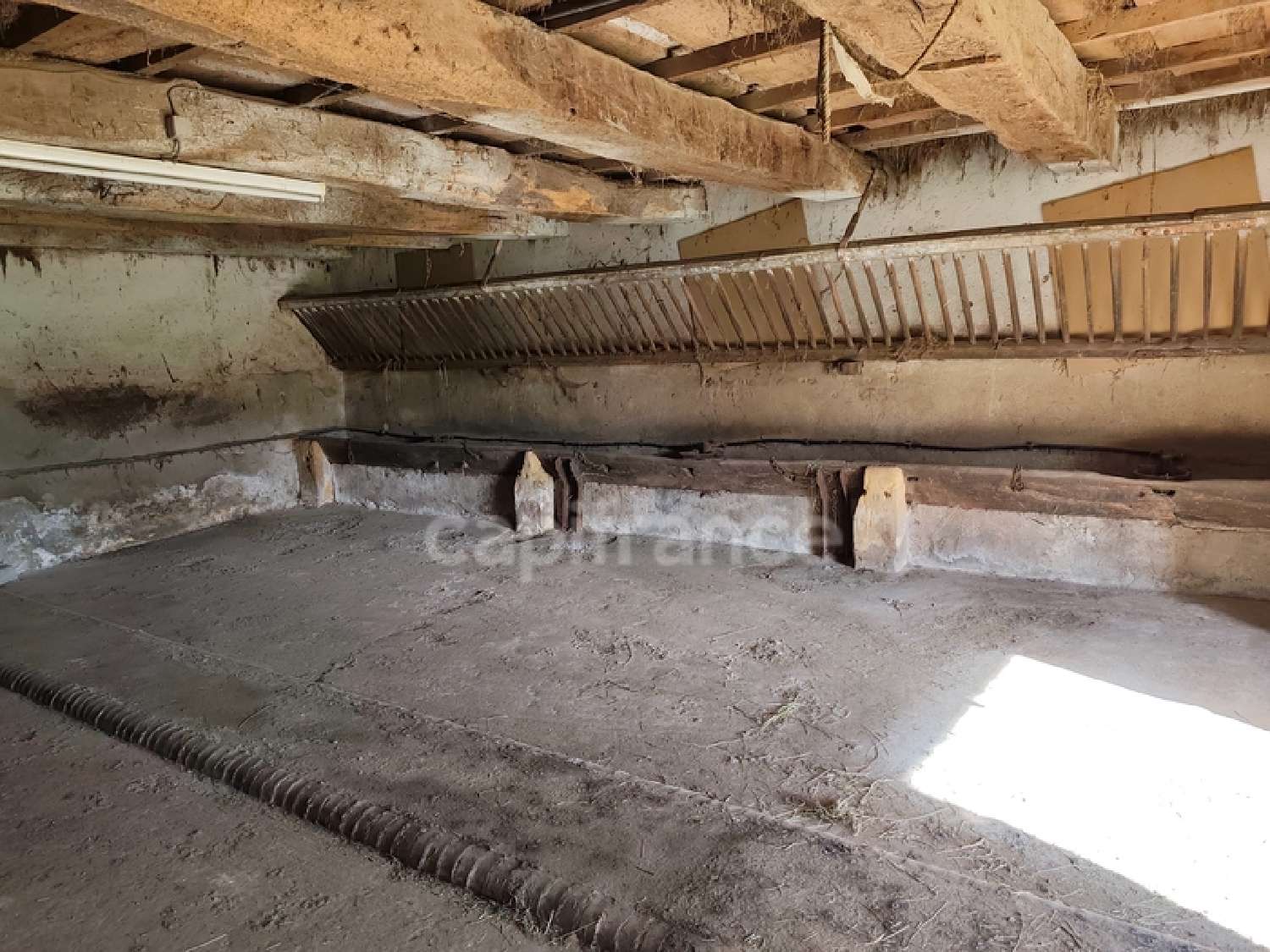 kaufen Haus Saint-Aubin-en-Charollais Saône-et-Loire 5