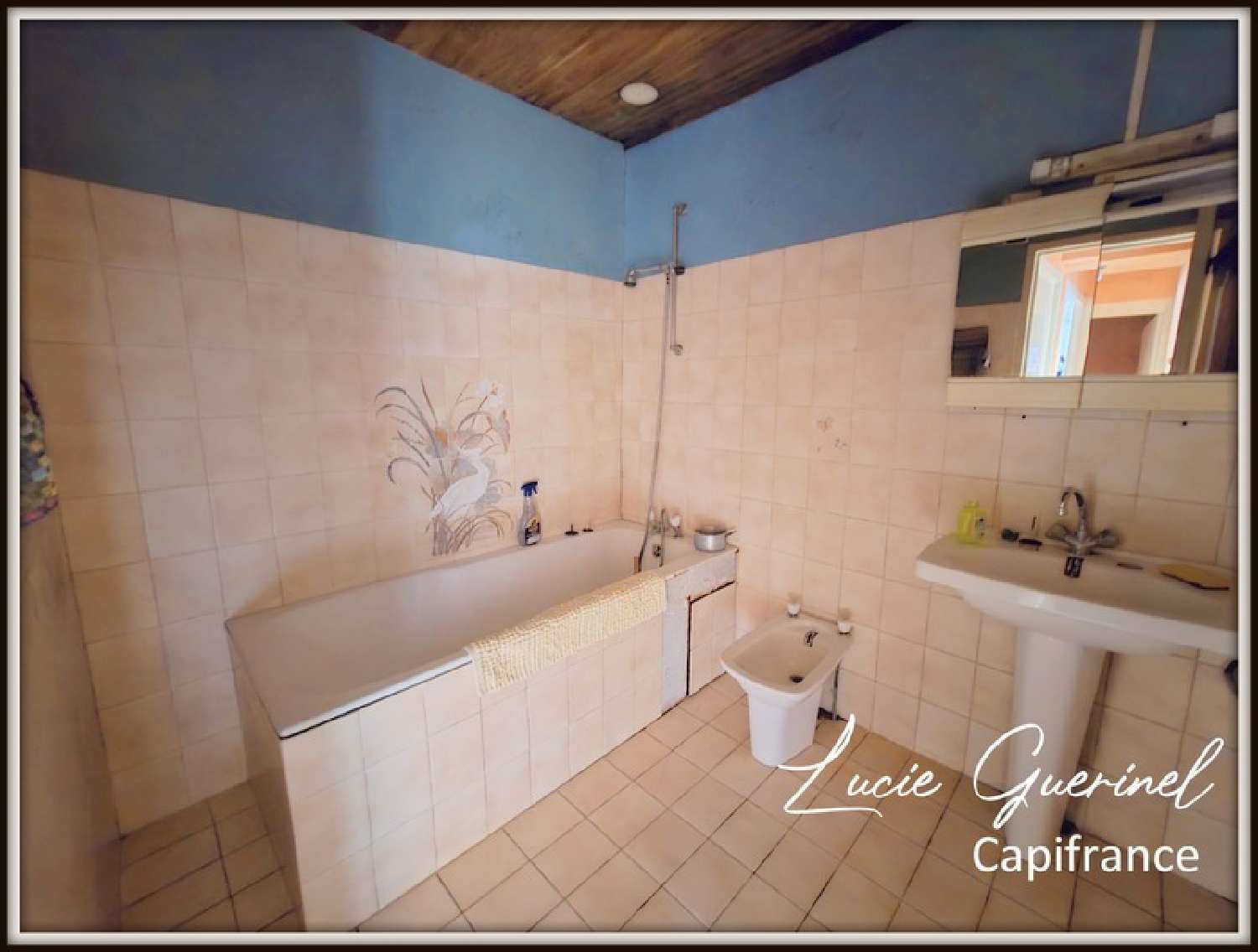  à vendre maison Saint-Aubin-des-Châteaux Loire-Atlantique 7