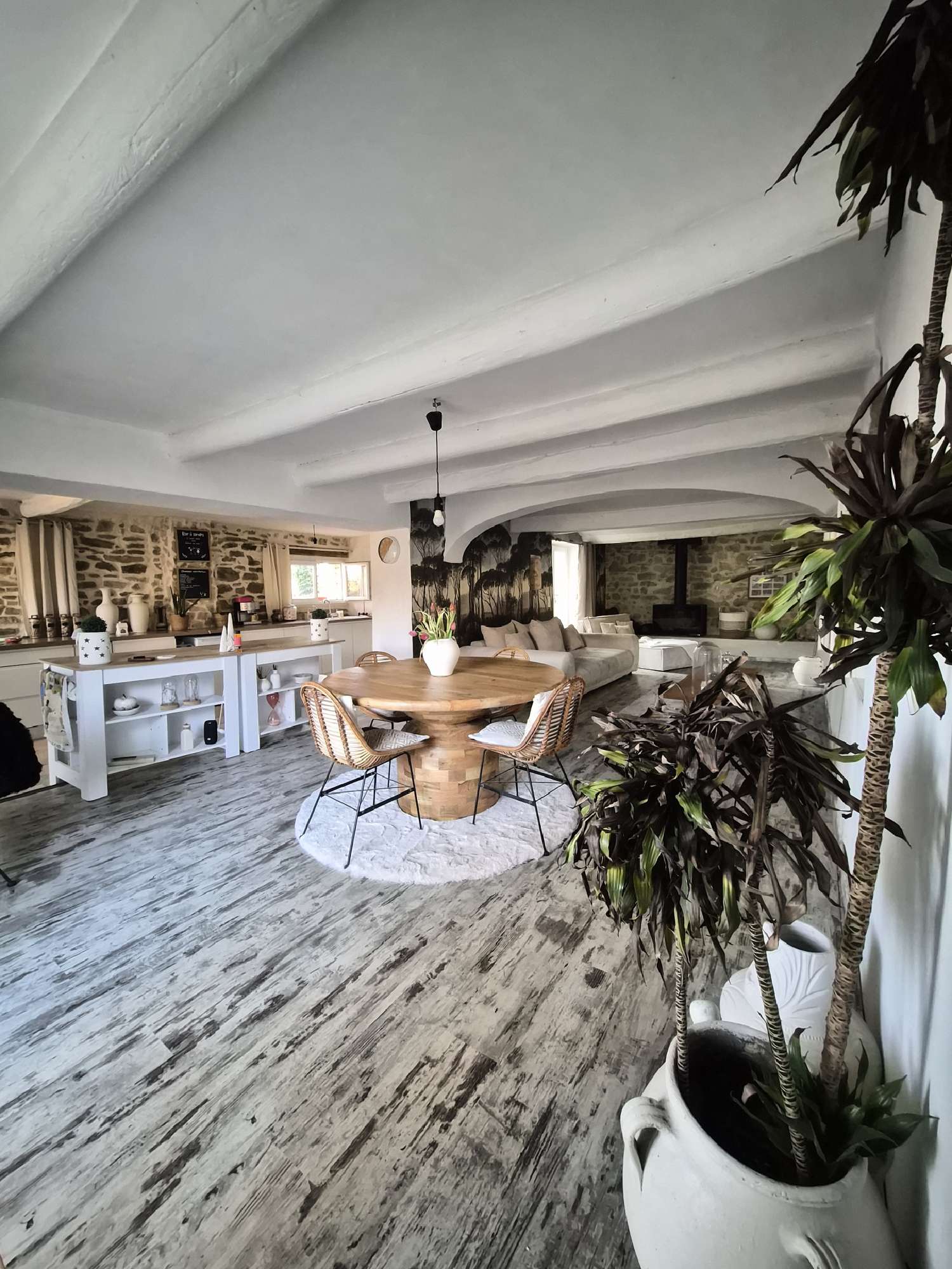 te koop huis Saint-Césaire-de-Gauzignan Gard 4