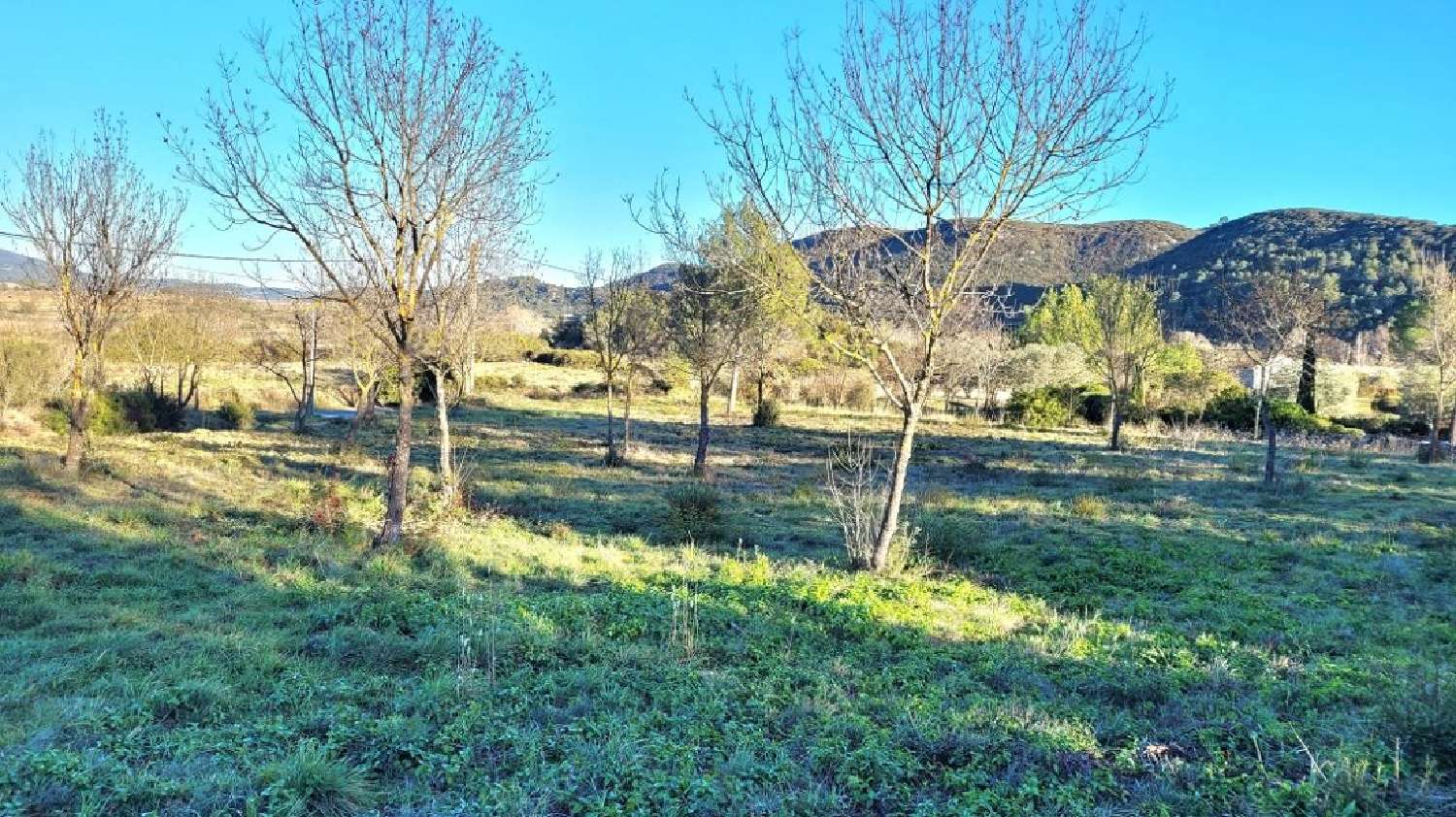  for sale house Saint-Chinian Hérault 1