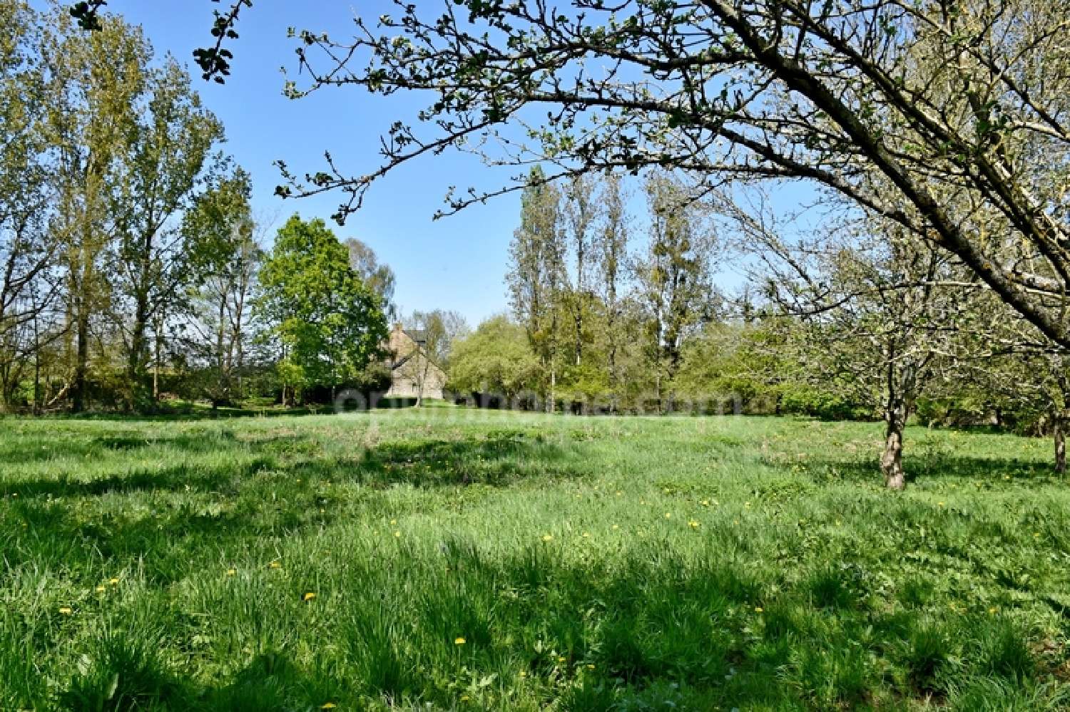  for sale house Saint-Congard Morbihan 2