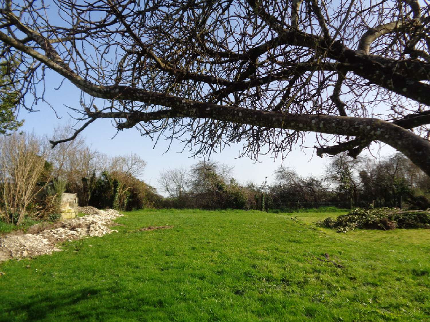 kaufen Haus Saint-Dizant-du-Gua Charente-Maritime 3