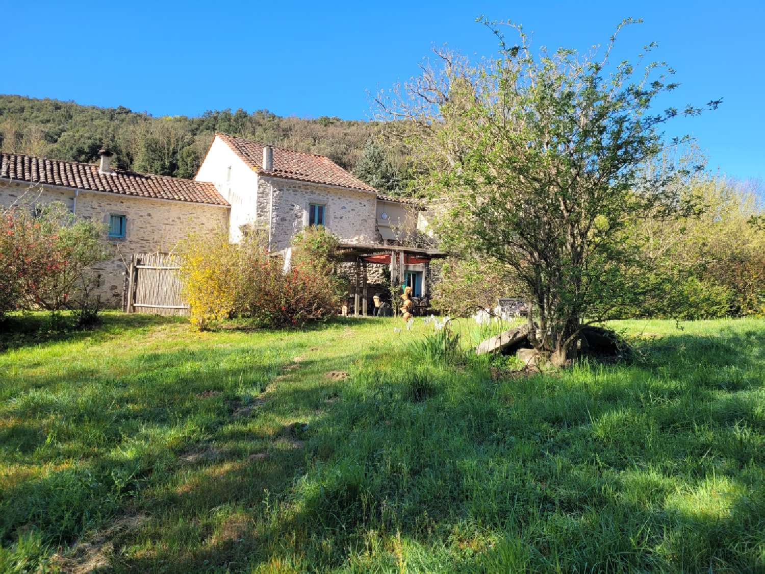 for sale house Saint-Étienne-d'Albagnan Hérault 3