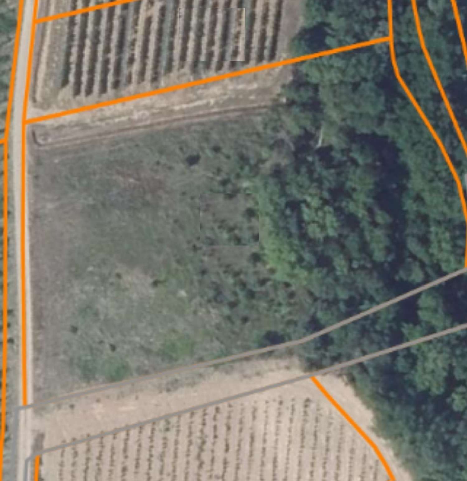  en venta casa Saint-Geniès-de-Fontedit Hérault 3