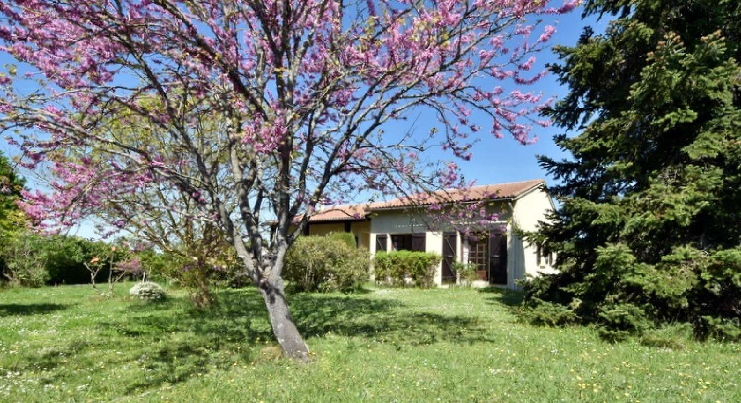  en venta casa Saint-Geniès-Bellevue Haute-Garonne 1