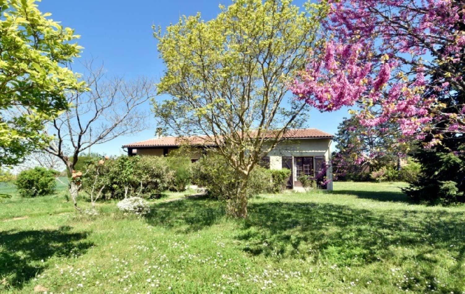  en venta casa Saint-Geniès-Bellevue Haute-Garonne 2