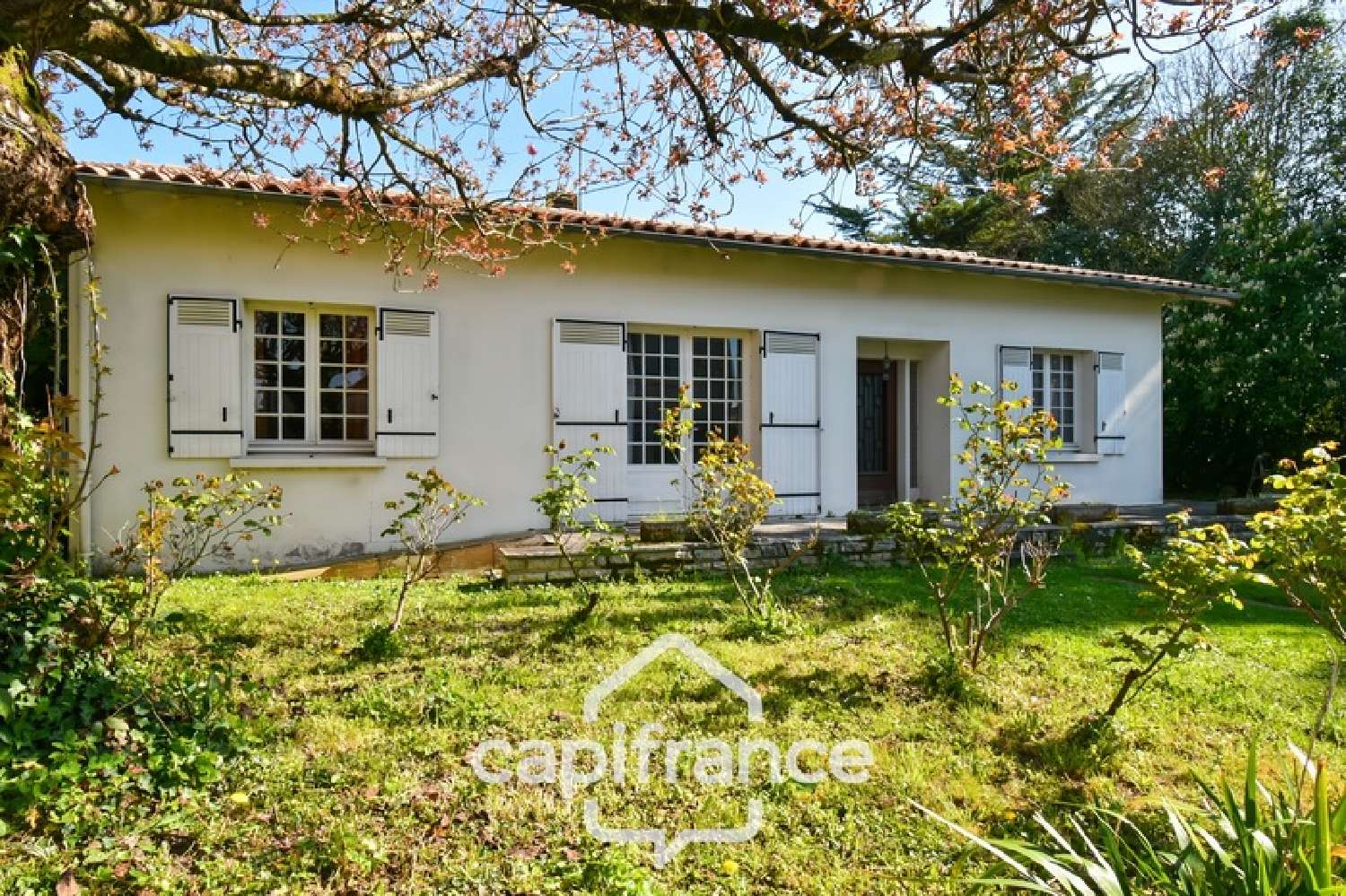  à vendre maison Saint-Jean-d'Angély Charente-Maritime 4