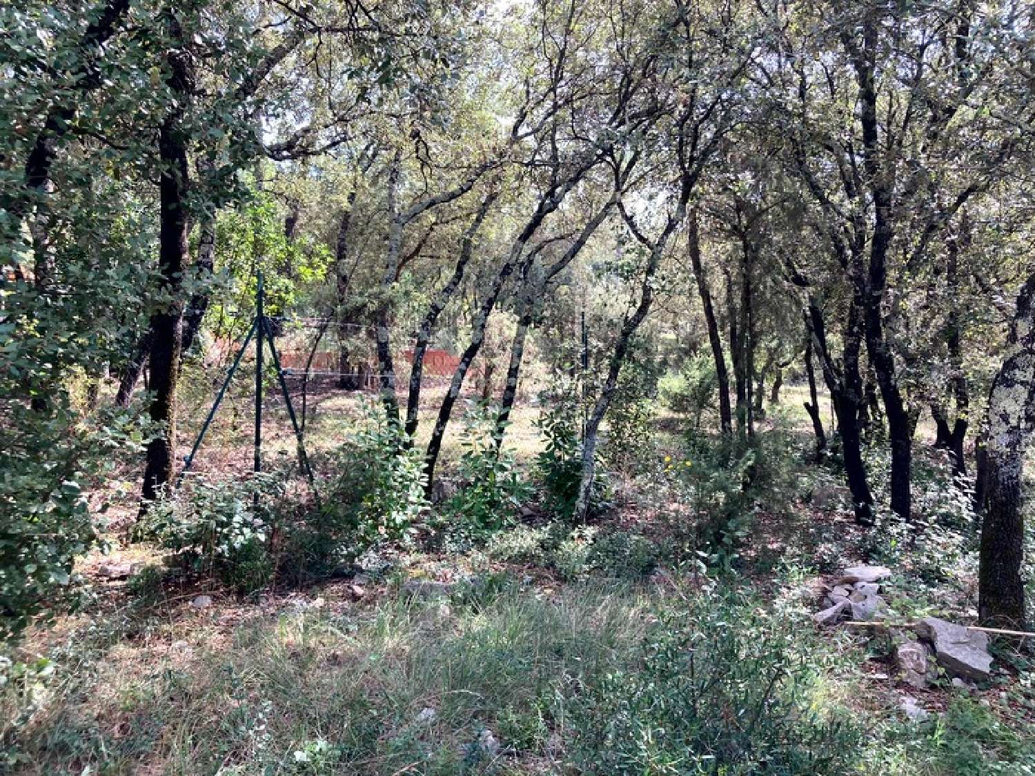  en venta casa Saint-Jean-de-Cuculles Hérault 5