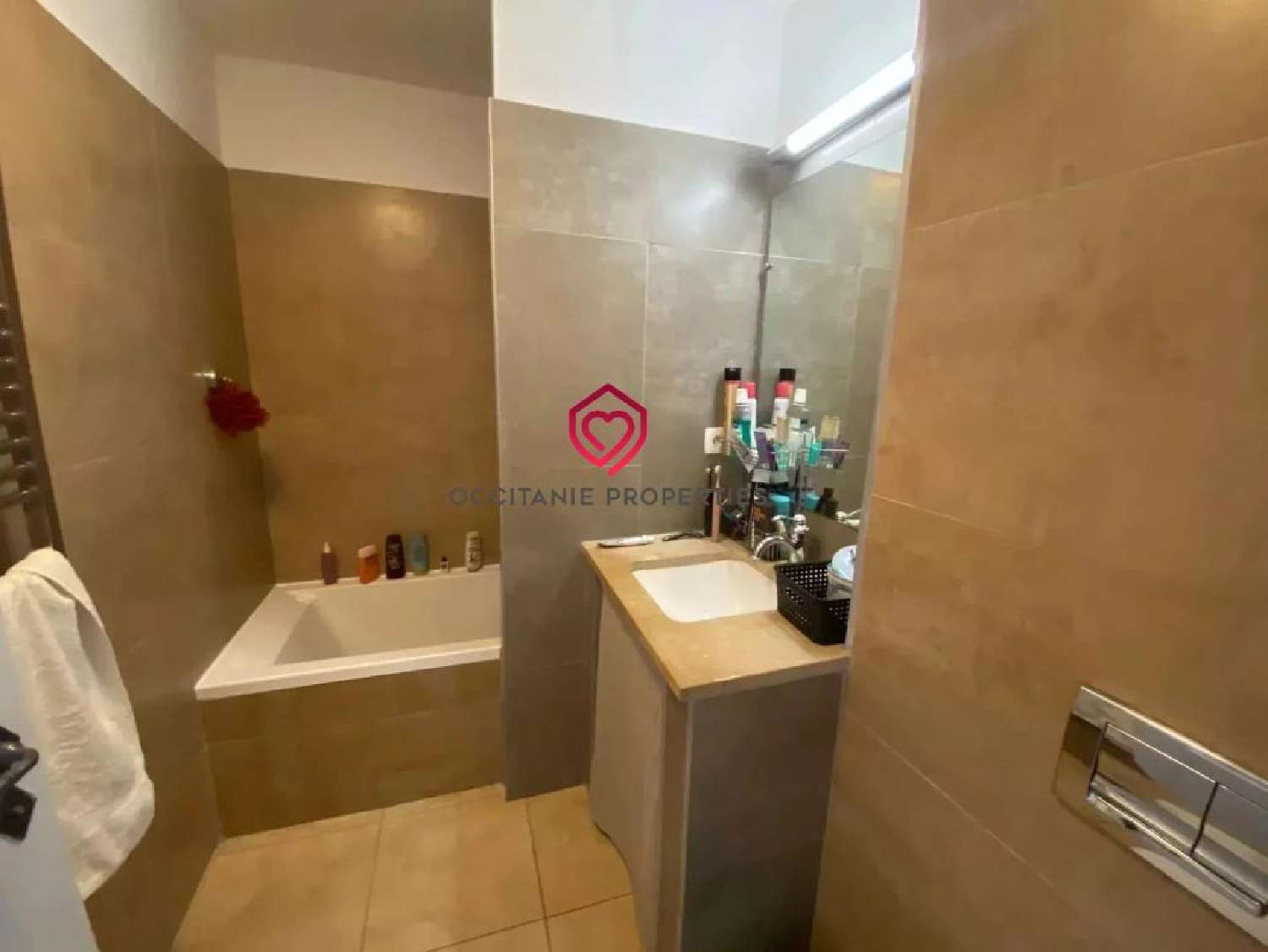 kaufen Haus Saint-Martin-des-Puits Aude 6