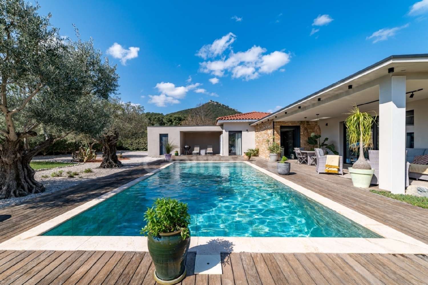 kaufen Haus Saint-Mathieu-de-Tréviers Hérault 1