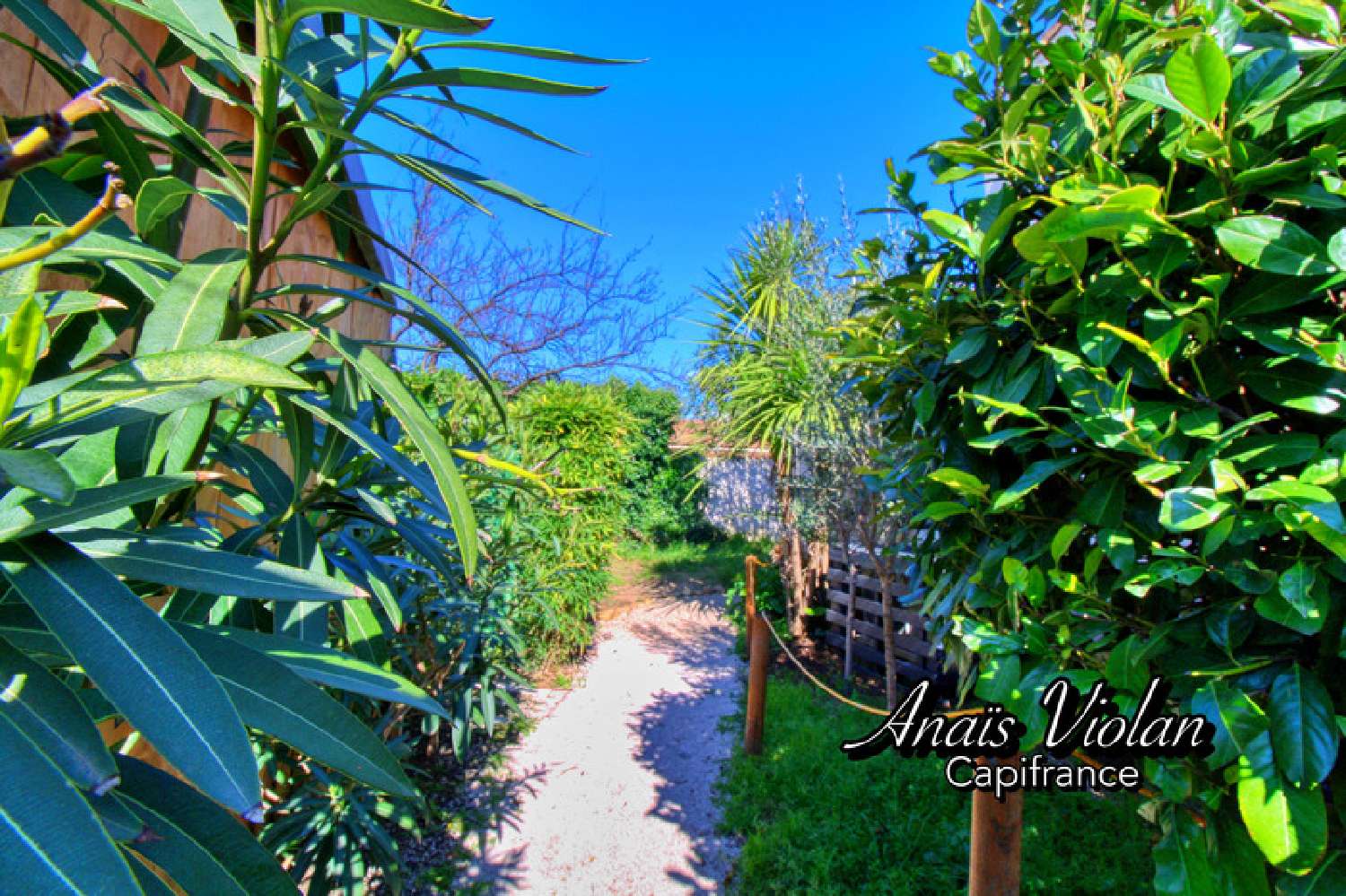  kaufen Haus Saint-Mathieu-de-Tréviers Hérault 4